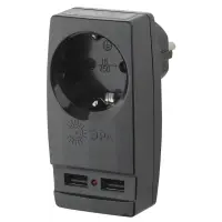 Адаптер с заземлением 1 гнездо 16А черный Китай ЭРА + 2xUSB (SP-1e-USB-B)