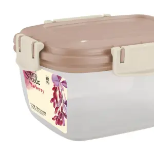Контейнер для продуктов Sugar&Spice Барбарис герметичный 0,45л прямоугольный фисташка